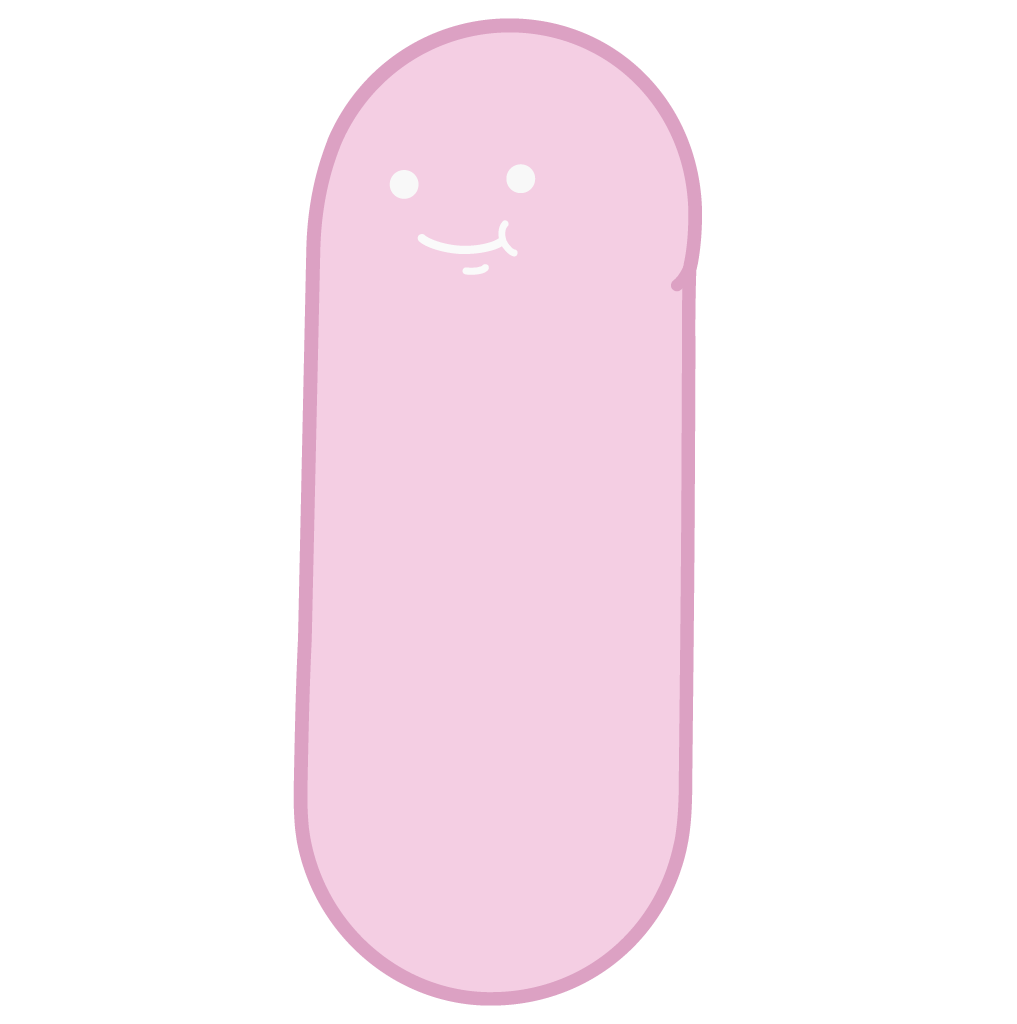 Salchi